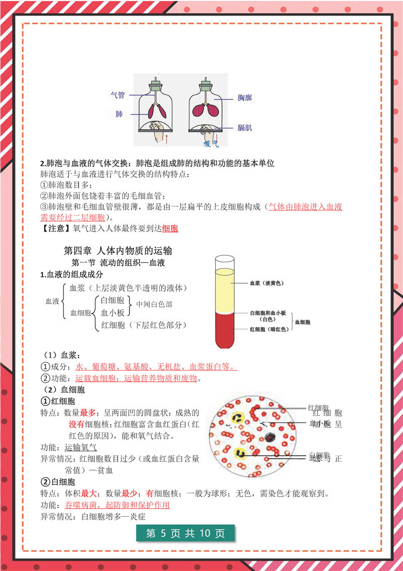 七年级下册 生物 高频考点_页面_05.jpg