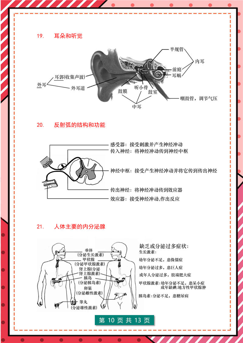 7-8年级生物识图题（超全版)答题模板_页面_10.jpg
