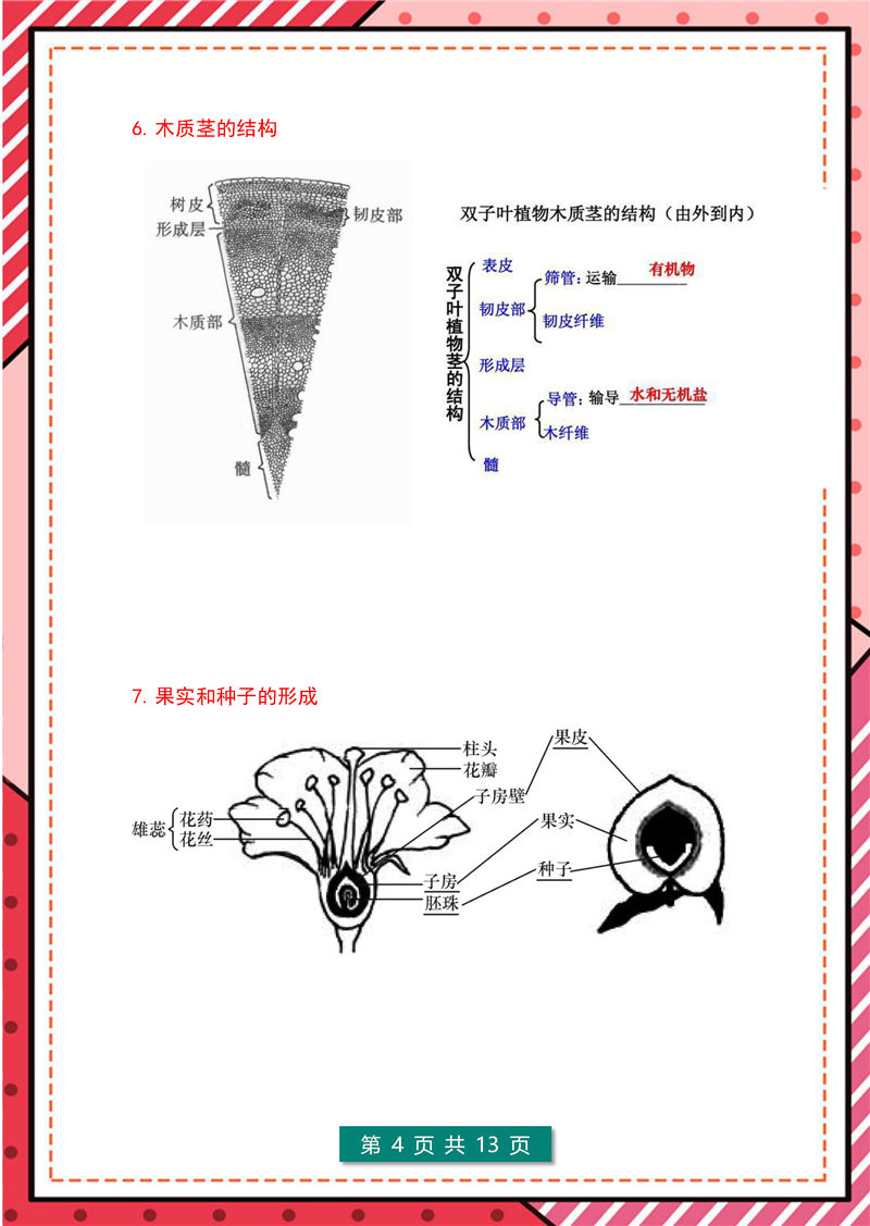 7-8年级生物识图题（超全版)答题模板_页面_04.jpg