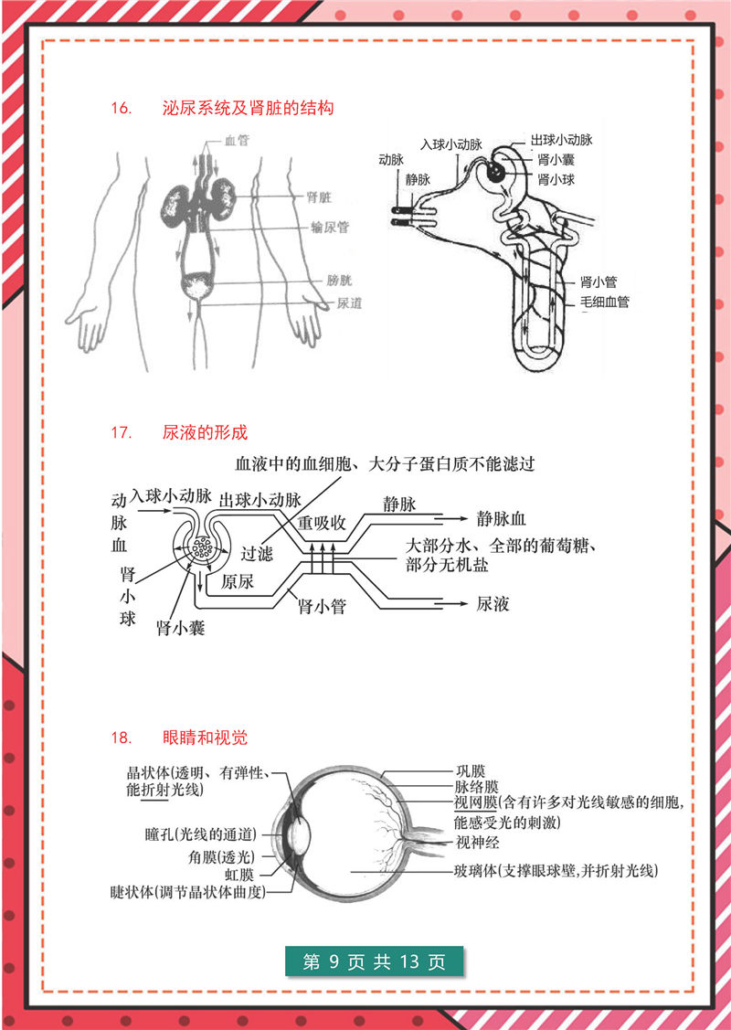 7-8年级生物识图题（超全版)答题模板_页面_09.jpg