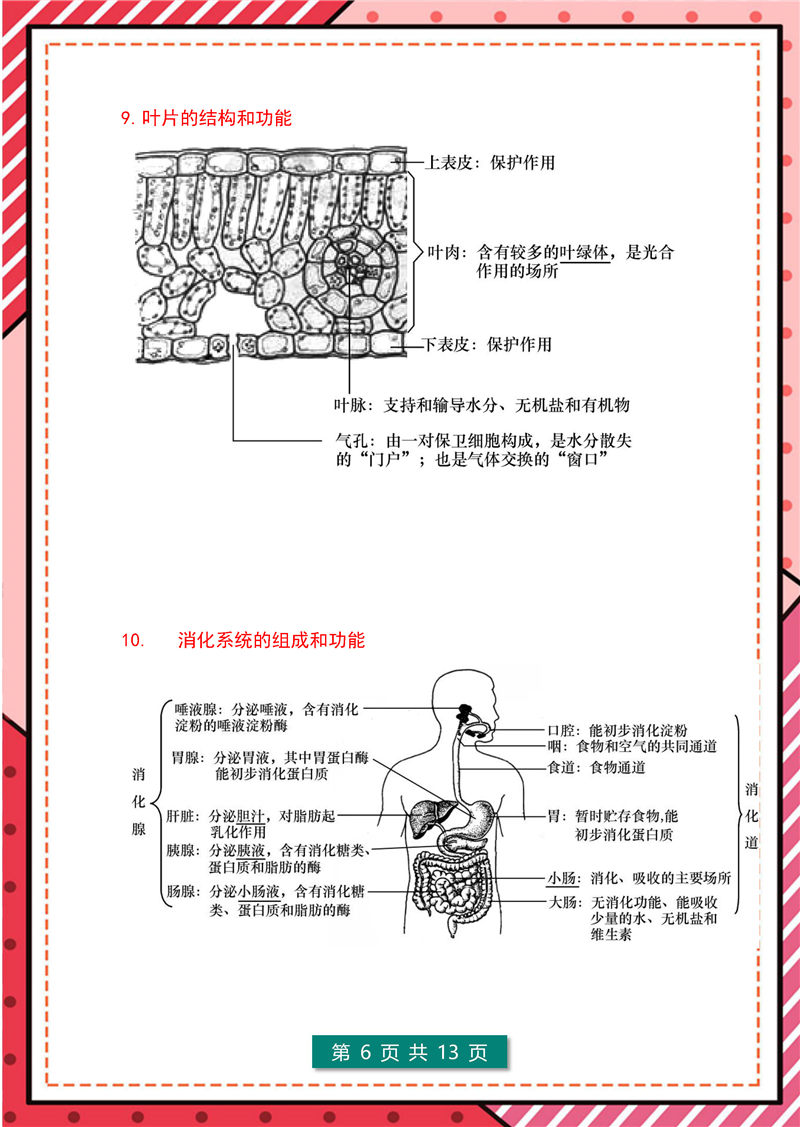 7-8年级生物识图题（超全版)答题模板_页面_06.jpg