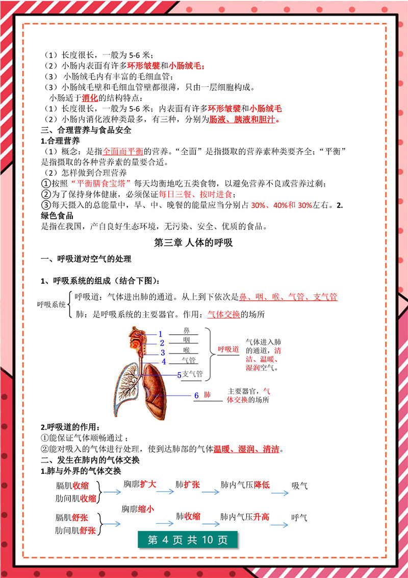 七年级下册 生物 高频考点_页面_04.jpg